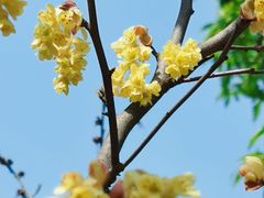 -白塘生态植物园