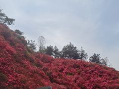 -木兰云雾山