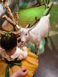 -Zoolung Zoolung动物主题公园(海信广场店)