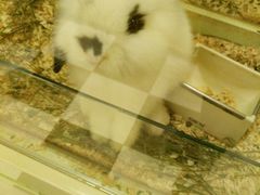 -龙猫仔乐园(惠福东路店)