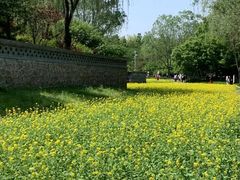 -北坞公园