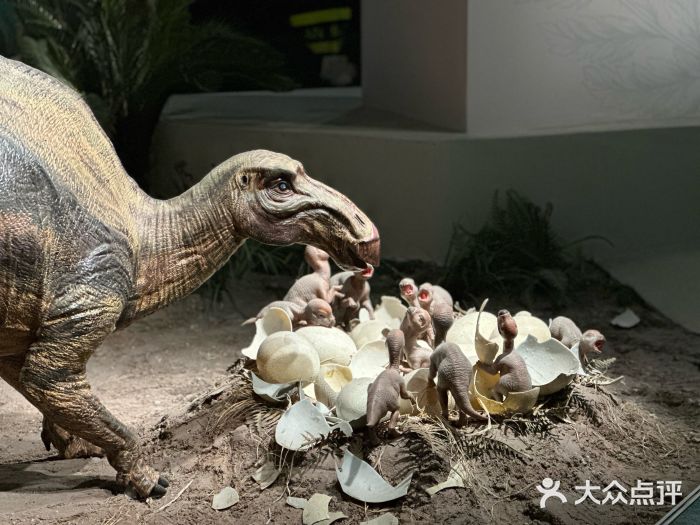 自贡恐龙博物馆图片