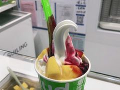-Salud撒露欧洲冻酸奶(五道口购物中心店)