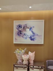-四川米兰柏羽医学美容医院