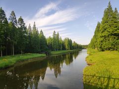 -黄海国家森林公园