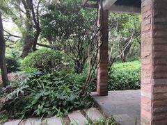 -晓港公园