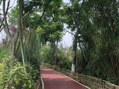 -桤木河湿地公园