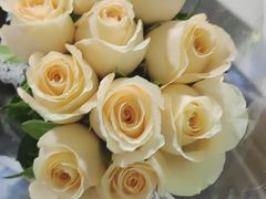 -循礼门鲜花花市(武汉循礼门店)