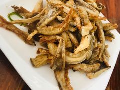 -天天向上素食餐厅(五台山店)