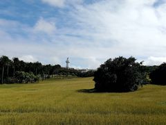 -鹅銮鼻公园
