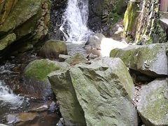 -藏龙百瀑风景区