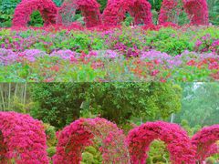 -莲花山公园