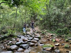 -莫干山风景区