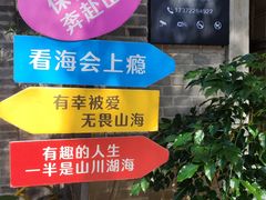 -两棵枇杷树