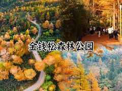 -莫干山风景区