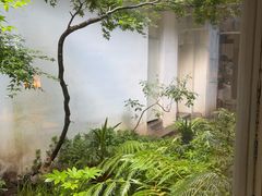 -花迹(富春江东街店)