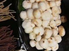 -探窝·竹笙椰子鸡(杨箕店)