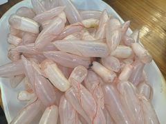 鲮鱼泡-章记正宗南岗鱼蛋火锅