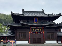 -衢州大荫山丛林飞越探险乐园