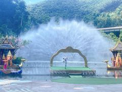 -西双版纳原始森林公园