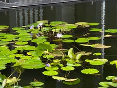 -三亚太阳湾柏悦酒店