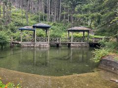 -康定跑马山风景区