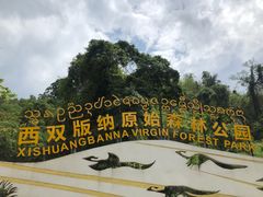 -西双版纳原始森林公园
