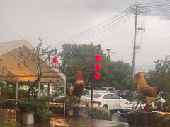 -头上红煨盐鸡·非遗院子餐厅