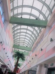 -复旦大学附属妇产科医院(杨浦院区)