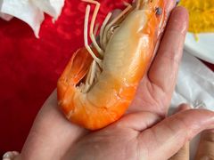 -大湾区中央湿地公园-十九涌