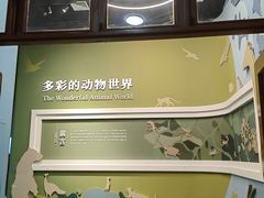 -国家自然博物馆