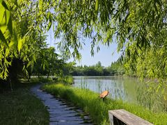 -泗洪洪泽湖湿地景区