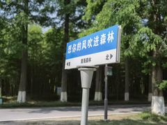 -黄海国家森林公园