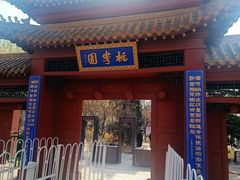 -桃花堤公园