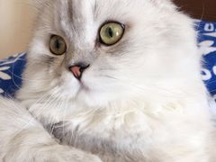 -乐宠宠物店(世纪金源店)