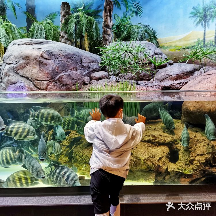 魔都探店：午后的上海海洋水族馆很好逛