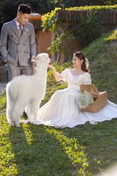 -花漾摄影优选工作室(东莞原创作品店)