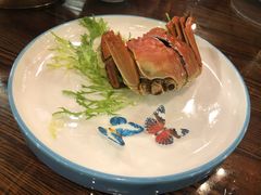 -七菜馆·东北菜·蒸饺(文体路店)