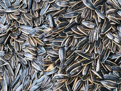 原味瓜子-隆美栗园(活力城店)