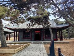 -北陵公园