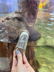 -Zoolung Zoolung动物主题公园(海信广场店)