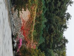 -北京宽沟会议中心