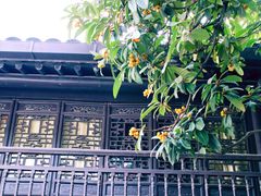 -南京市民俗博物馆(甘熙故居)