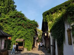 -乌镇西栅景区