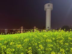 -武昌江滩