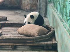 -石家庄市动物园