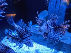 -成都浩海立方海洋公园