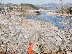 -广州市流溪河国家森林公园