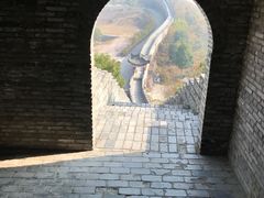 -黄贤森林公园