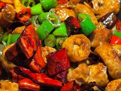 -老板恋上鱼(高新万达店)